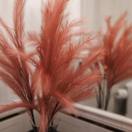 Jacuzzi Energyapart * Stettin